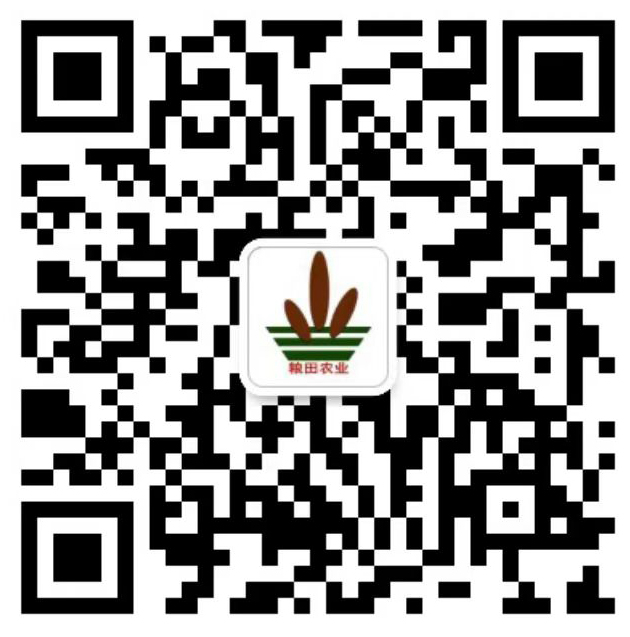 公众号二维码